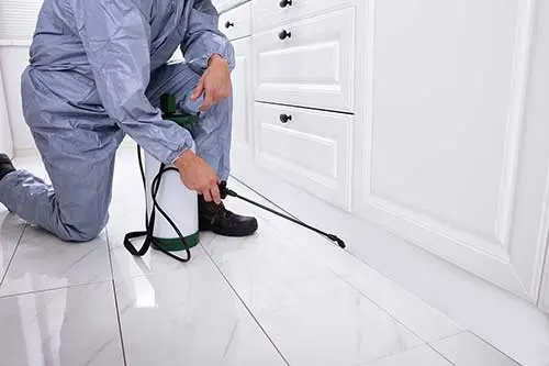 Technician using spray treatment under kitchen cabinets